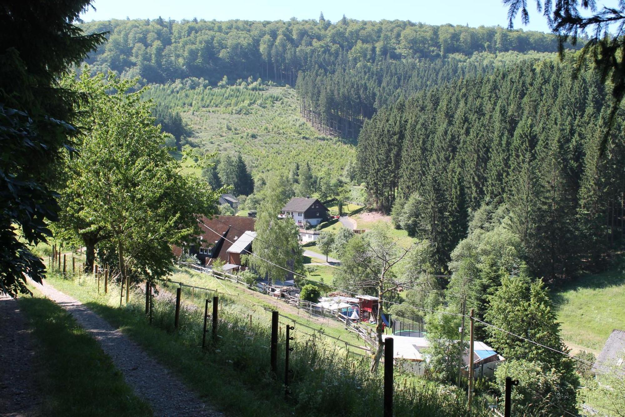Holiday Home Rehsiepen Schmallenberg Extérieur photo