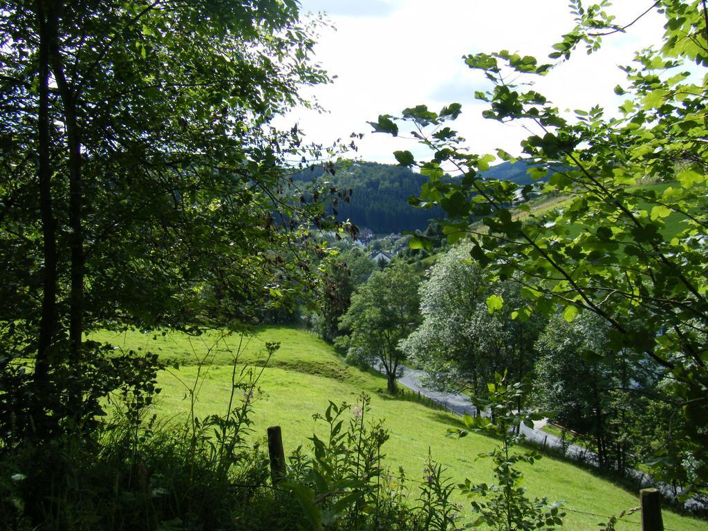 Holiday Home Rehsiepen Schmallenberg Chambre photo